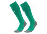 Puma Uomo Calcio Liga Core Calzini Uomo Calzini Verde Bianco Taglia 1 (31-34)