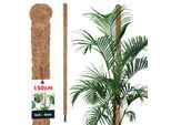Kotarbau® Palo Per Muschio Per Monstera Noce Di Cocco Naturale ⌀ 3,2 X 150 Cm Palo Per Piante Supporto Per Piante Monstera Palo Per Piante Palo Per Piante Palo Per Muschio Monstera Supporto Per Piante Palo Per Fiori Palo Per Muschio