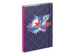 Baagl Cartelle Per Quaderni Scolastici A4 Parrot