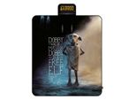 Coperta Da Picnic Harry Potter Dobby