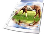 Durable Busta Perforata Premium A4 In Pp Extra Lucido Busta 50 Pezzi, 50 Pezzi, Trasparente, 267719
