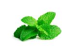 Emsa Click & Grow Peppermint
