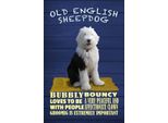 Vianmo Insegna In Legno 30X20 Cm Old English Sheepdog Hund Bubbly