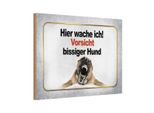 Vianmo Insegna In Legno 12X18 Cm Vorsicht Bissiger Hund