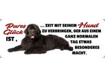 Vianmo Insegna In Legno 10X27 Cm GlüCk Ist Zeit Mit Seinem Hund
