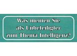 Vianmo Insegna In Legno 10X27 Cm Thema Intelligenz Ihre Meinung