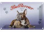 Vianmo Insegna Di Latta 20X30 Cm Hund Bullterrier England 1850