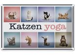 Vianmo Insegna Di Latta 20X30 Cm Katze Katzen Yoga