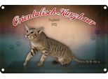 Vianmo Insegna Di Latta 12X18 Cm Katze Orientalisch Kurzhaar England