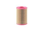 MANN-FILTER C257301 Filtro Aria