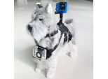 Pettorina Per Animali Domestici Con Supporto Per Telecamera Sportiva Ksix Nero