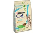 Purina Cat Chow Kitten Con Pollo 1,5 Kg