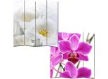 Schermo Fotografico Parete Divisoria M68 ~ 180X160Cm, Orchidea