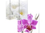 Schermo Fotografico Parete Divisoria M68 ~ 180X200Cm, Orchidea