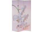 Schermo Fotografico T233, Parete Divisoria Certificata Mvg 180X120Cm ~ Orchidea
