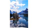 Schermo Fotografico HWC-A83, Schermo Divisorio Per Ambienti, Certificato Mvg ~ 180X121Cm Lago