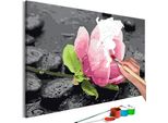 Tessuto Non Tessuto Painting By Numbers - Fiore Rosa E Pietre 60X40 Cm Fiori N-A-0397-E-A
