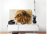 Tessuto Non Tessuto Pittura Per Numeri - Re Leone 60X40 Cm Animali N-A-0529-E-A