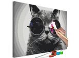 Tessuto Non Tessuto Painting By Numbers - Gatto Con Occhiali 60X40 Cm Animali N-A-1242-E-A