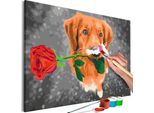 Tessuto Non Tessuto Painting By Numbers - Cane Con Rosa 60X40 Cm Animali N-A-1310-E-A
