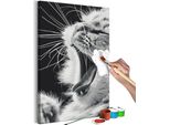 Tessuto Non Tessuto Pittura Per Numeri - Gattino Sbadigliante 40X60 Cm Animali N-A-1424-E-A
