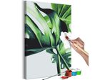 Tessuto Non Tessuto Painting By Numbers - Monstera Adansonii 40X60 Cm Foglie N-A-1404-E-A