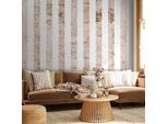 Vlies Tapete - Faccia Di Cemento Elegante 50X1000 Cm Muster F-C-0019-J-C