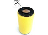 Filtro Aria Per Briggs&Stratton 793569