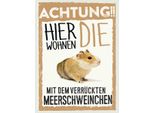Vianmo Insegna In Legno 40X30 Cm Tiere Achtung Hier Meerschweinchen