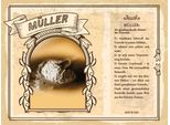 Vianmo Insegna In Legno 30X40 Cm MüLler Meister Des Getreides