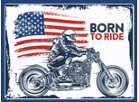 Vianmo Insegna In Legno 30X40 Cm Biker Born To Ride Usa