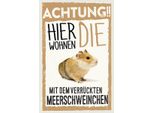 Vianmo Insegna In Legno 18X12 Cm Tiere Achtung Hier Meerschweinchen