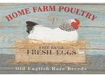 Vianmo Insegna In Legno 20X30 Cm Home Farm Poultry Fresh Eggs