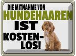 Vianmo Insegna Di Latta 30X40 Cm Mitnahme Hundehaaren Kostenlos