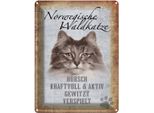 Vianmo Insegna Di Latta 40X30 Cm Norvegische Waldkatze Katze Wanddeco