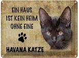 Vianmo Insegna Di Latta 30X40 Cm Havana Katze Ohne Kein Heim