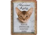 Vianmo Insegna Di Latta 40X30 Cm Abyssiner Katze HüBsch Verspielt