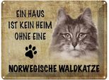 Vianmo Insegna Di Latta 30X40 Cm Norvegische Waldkatze Katze