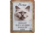 Vianmo Insegna Di Latta 40X30 Cm Birma Katze Klug