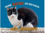 Vianmo Insegna In Legno 30X40 Cm Ohne Katze Kein Zuhause
