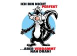 Vianmo Insegna In Legno 40X30 Cm Bin Nicht Perfekt Aber Nah Dran