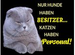 Vianmo Insegna In Legno 30X40 Cm Hund Hat Besitzer Katze Personal