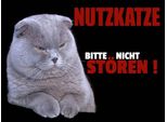 Vianmo Insegna In Legno 30X40 Cm Nutzkatze Bitte Nicht StöRen Schwarz