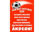 Vianmo Insegna In Legno 40X30 Cm Ich Bin Cottbus Fan Fussball