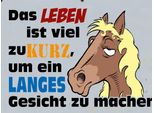 Vianmo Insegna In Legno 30X40 Cm Das Leben Ist Zu Kurz Um Pferd