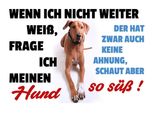 Vianmo Insegna In Legno 30X40 Cm Wenn Ich Nicht Weiter Weiß Hund