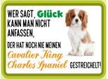 Vianmo Insegna In Legno 30X40 Cm Cavalier King Charles Spaniel