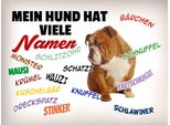 Vianmo Insegna In Legno 30X40 Cm Mein Hund Hat Viele Namen