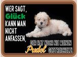Vianmo Insegna In Legno 30X40 Cm GlüCk Nicht Anfassen Pudel Hund