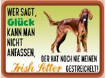 Vianmo Insegna In Legno 30X40 Cm GlüCk Irish Setter Hund